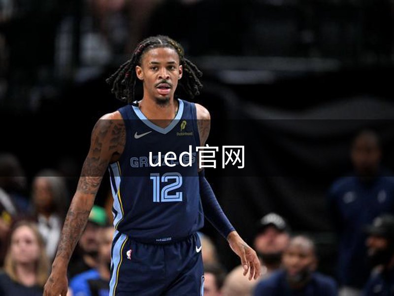 网站介绍